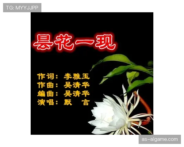 帕尔默的高光表现能否持续：是昙花一现还是实力兑现？